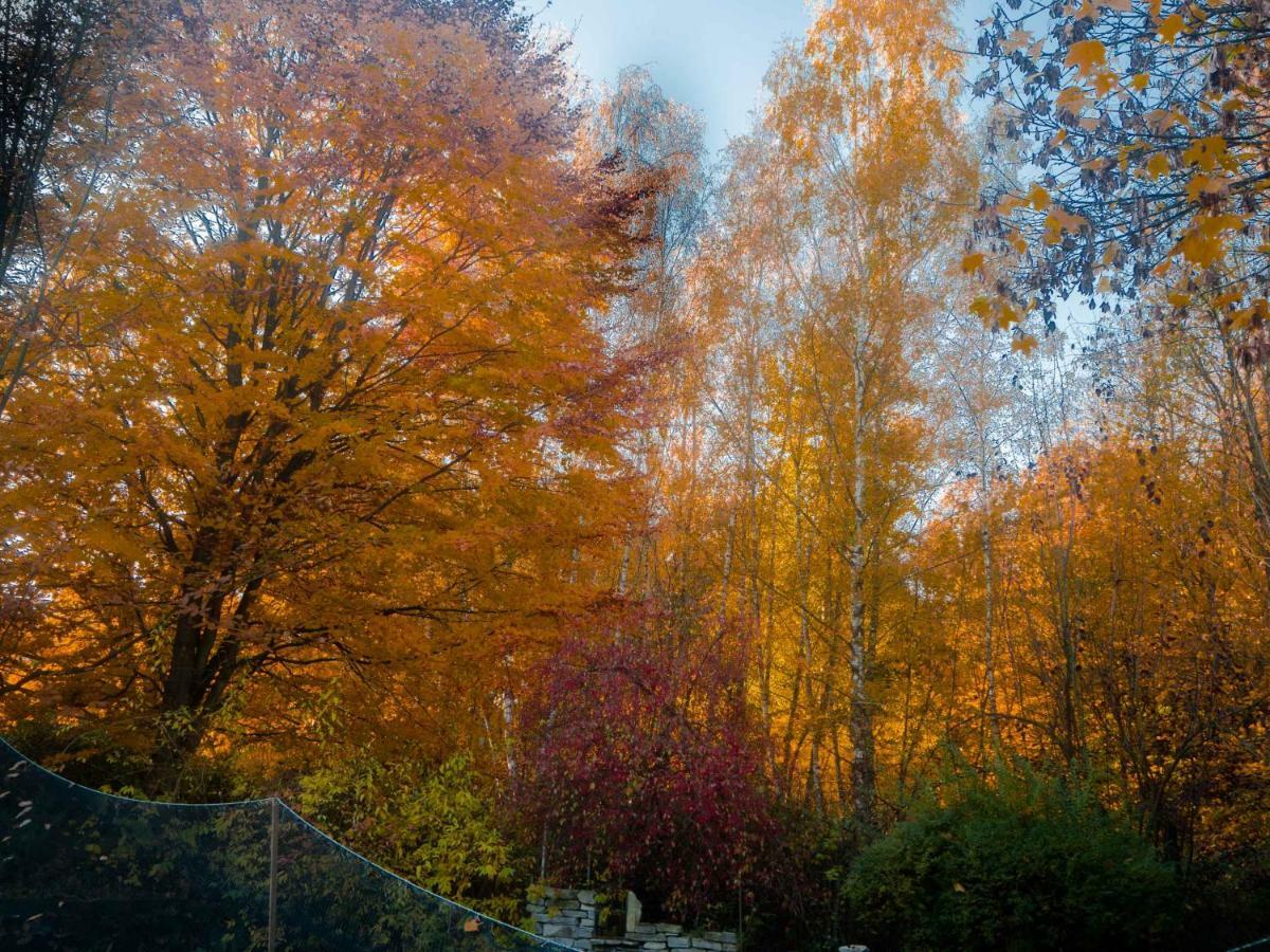 Im Grunen Am Stadtrand Saarbruecken Luaran gambar